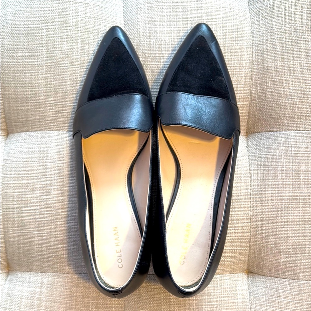 Marlee Skimmer Leather-Suede Shoes